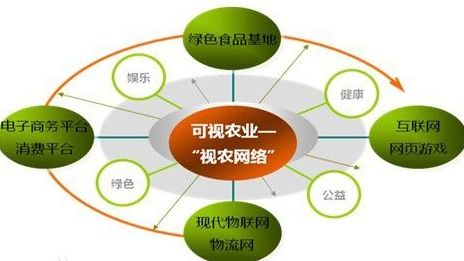 VIE結(jié)構(gòu) 網(wǎng)絡(luò)技術(shù)服務(wù)企業(yè)的國際化融資路徑解析