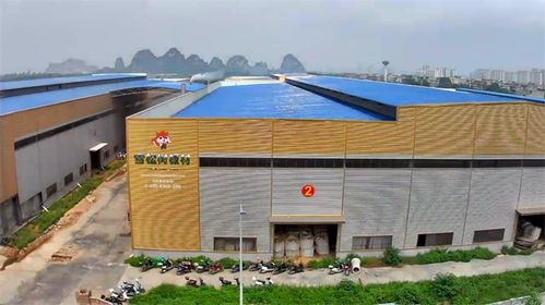 新年迎新篇，蓄力啟新程——雪松樹(shù)板材與力森新型建材2024再出發(fā)